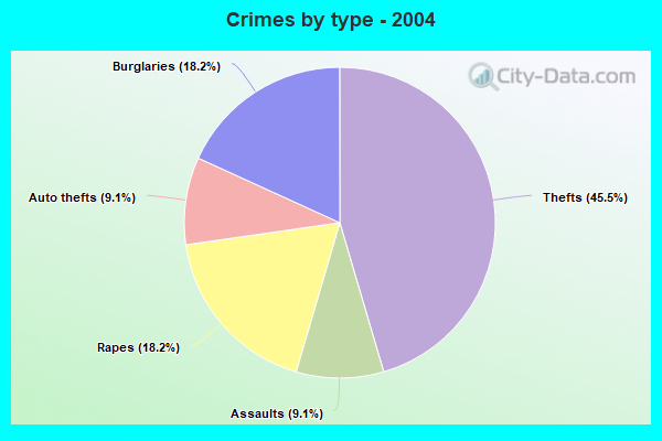 Crimes by type - 2004