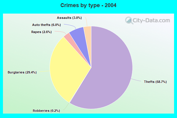 Crimes by type - 2004