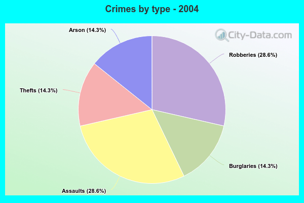 Crimes by type - 2004