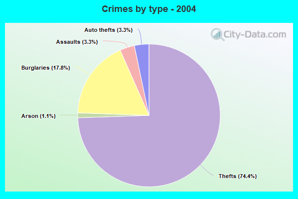 Crimes by type - 2004