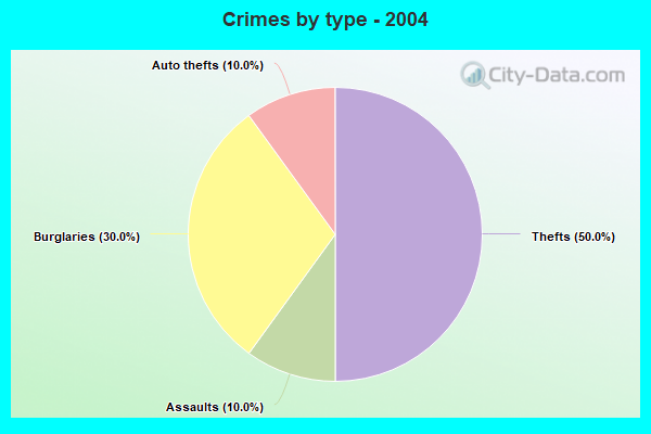 Crimes by type - 2004