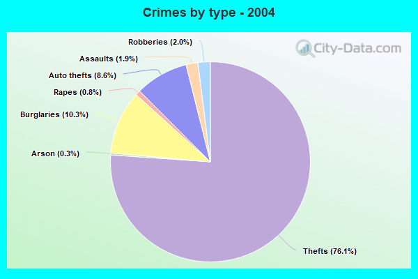 Crimes by type - 2004