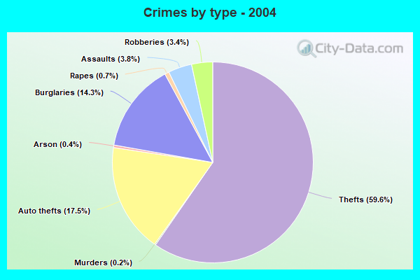 Crimes by type - 2004