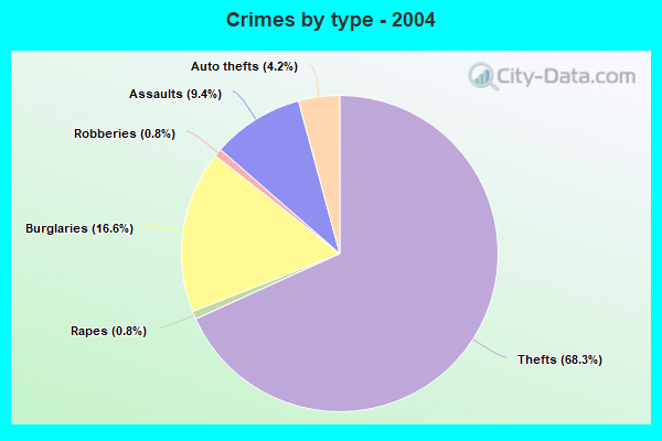 Crimes by type - 2004