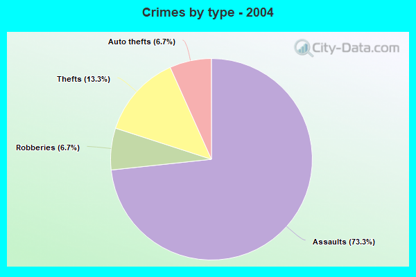 Crimes by type - 2004