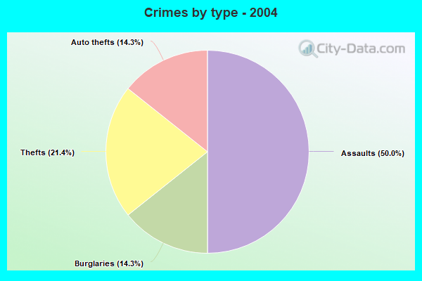 Crimes by type - 2004