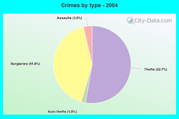 Crimes by type - 2004