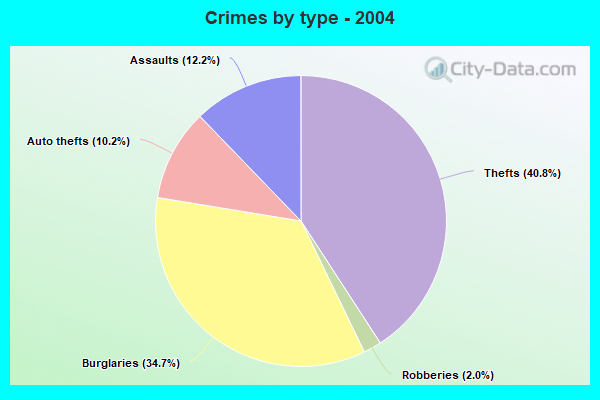 Crimes by type - 2004