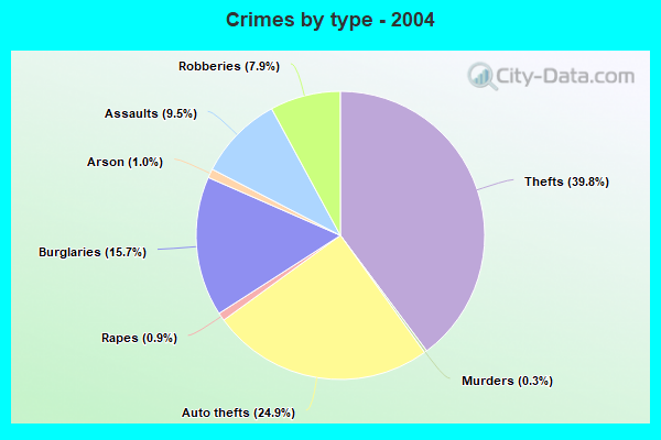 Crimes by type - 2004