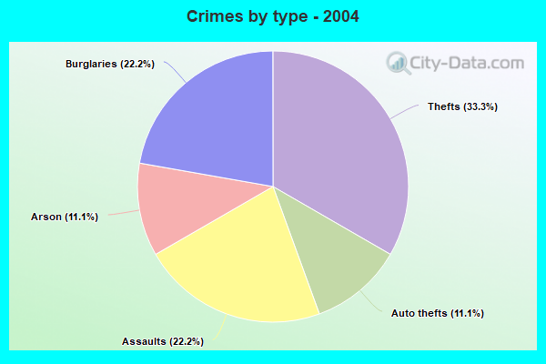 Crimes by type - 2004