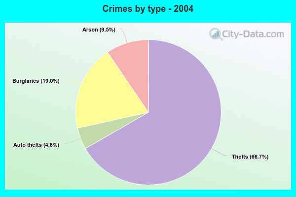 Crimes by type - 2004