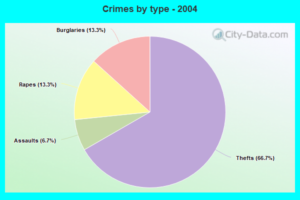 Crimes by type - 2004