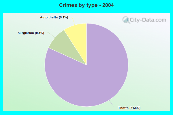 Crimes by type - 2004