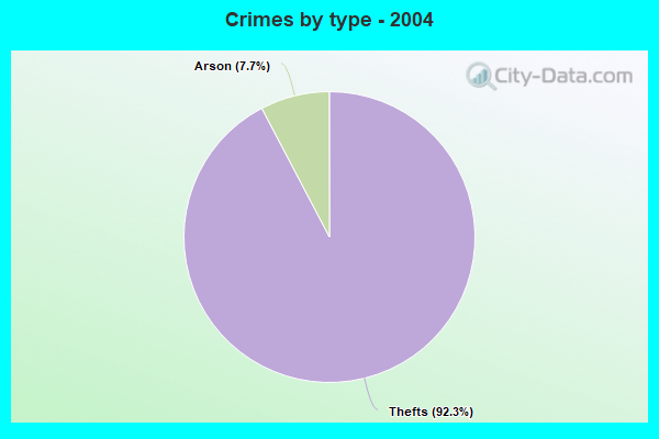 Crimes by type - 2004