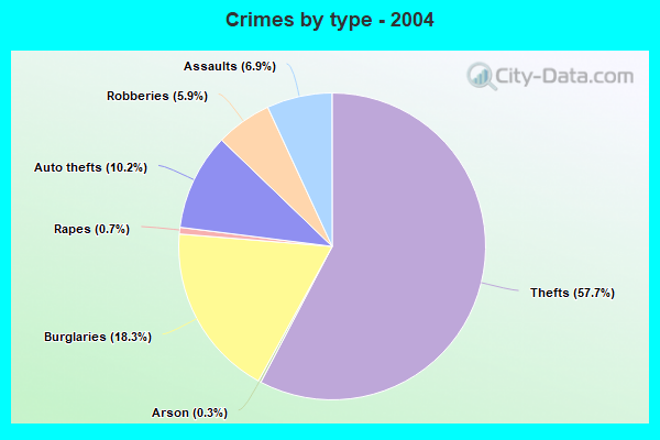 Crimes by type - 2004