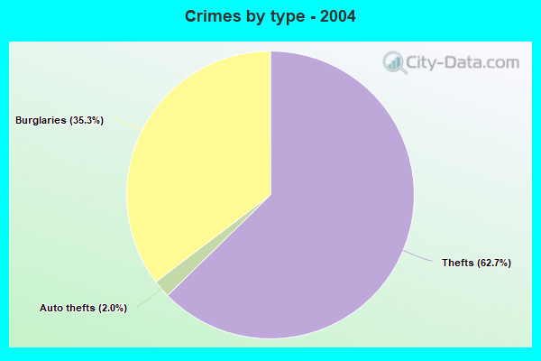 Crimes by type - 2004