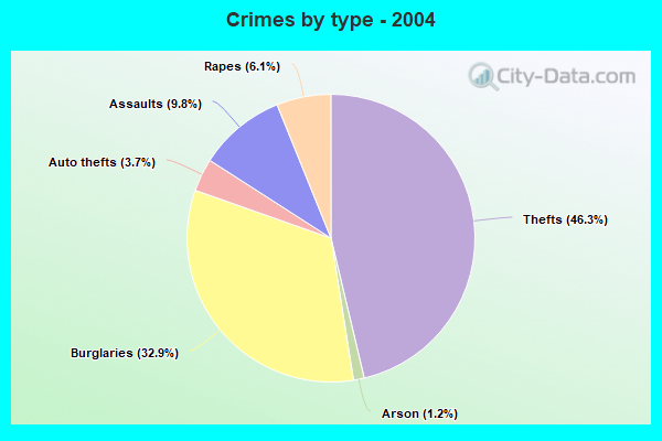 Crimes by type - 2004