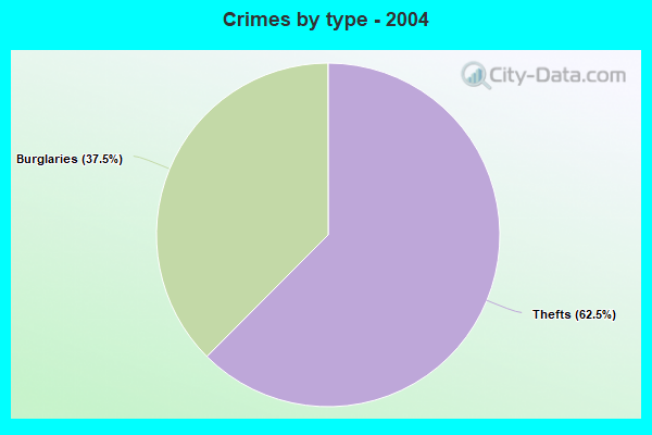 Crimes by type - 2004