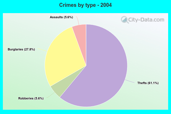 Crimes by type - 2004