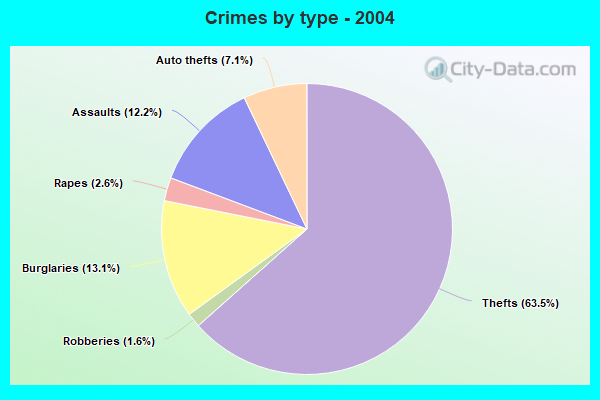 Crimes by type - 2004