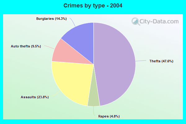 Crimes by type - 2004