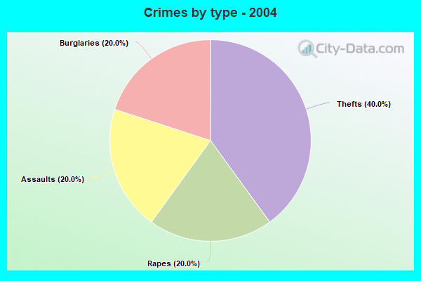 Crimes by type - 2004