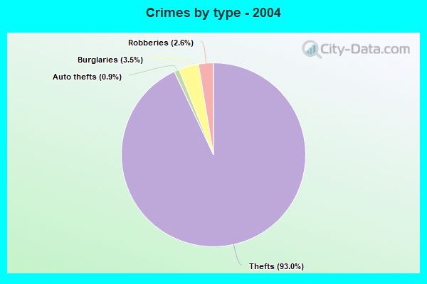 Crimes by type - 2004