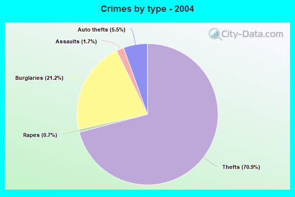 Crimes by type - 2004