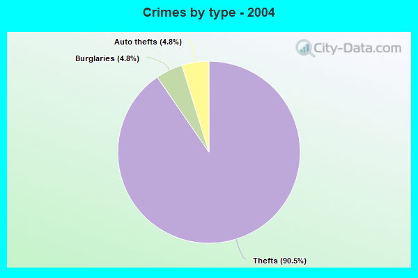 Crimes by type - 2004