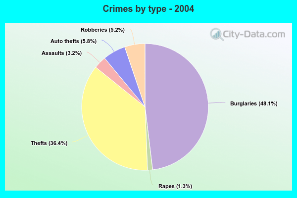 Crimes by type - 2004