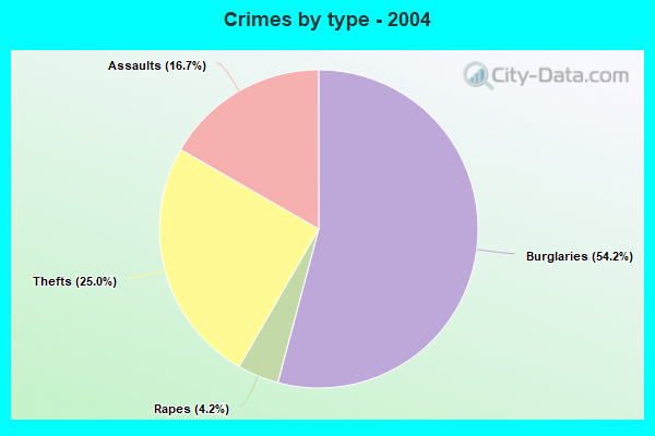 Crimes by type - 2004