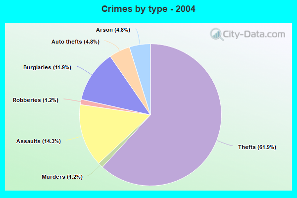 Crimes by type - 2004