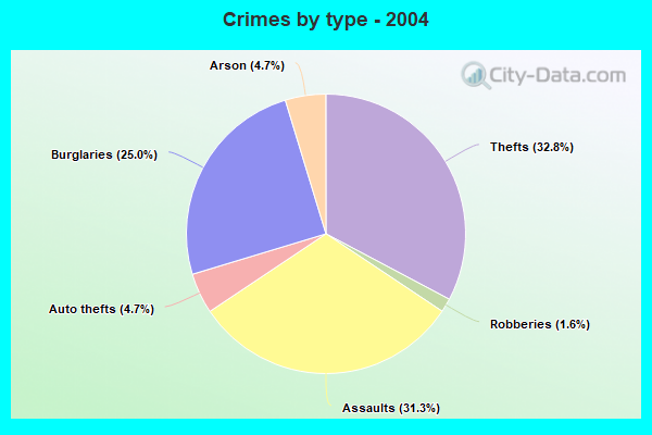 Crimes by type - 2004