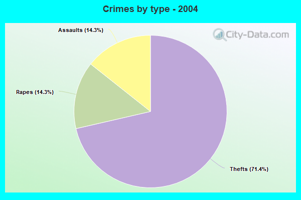 Crimes by type - 2004