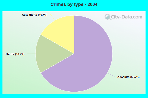 Crimes by type - 2004