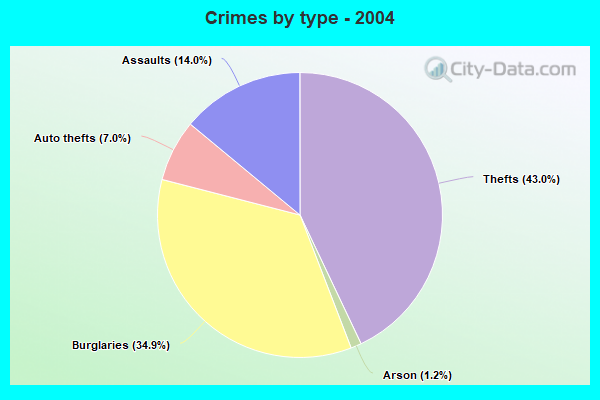 Crimes by type - 2004