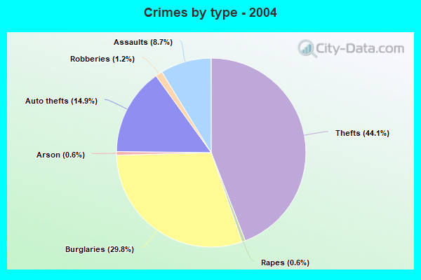 Crimes by type - 2004