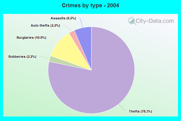 Crimes by type - 2004