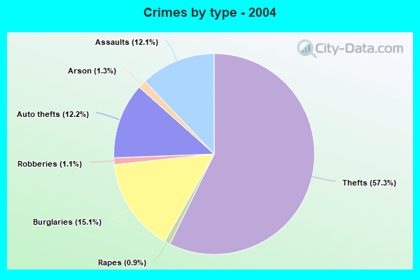 Crimes by type - 2004