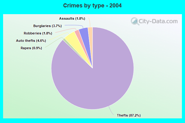 Crimes by type - 2004