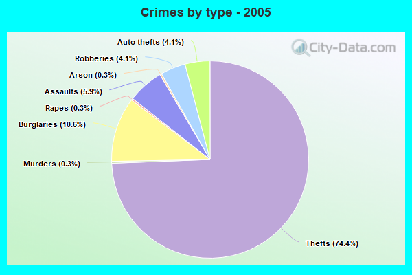 Crimes by type - 2005