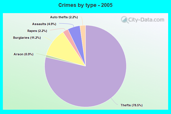 Crimes by type - 2005