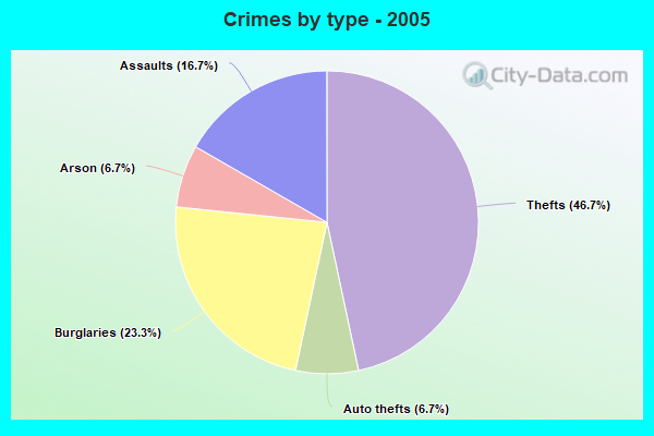 Crimes by type - 2005