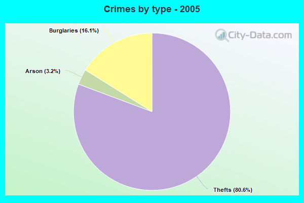 Crimes by type - 2005