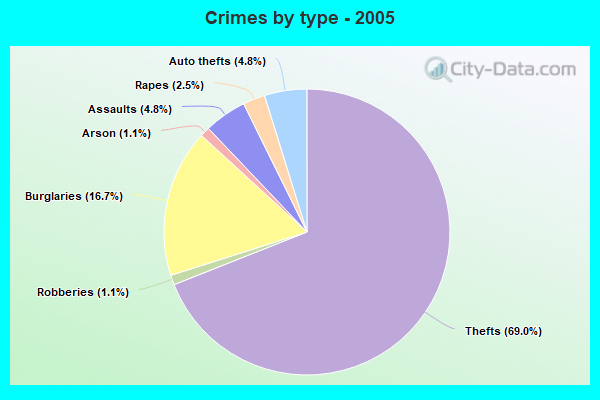 Crimes by type - 2005