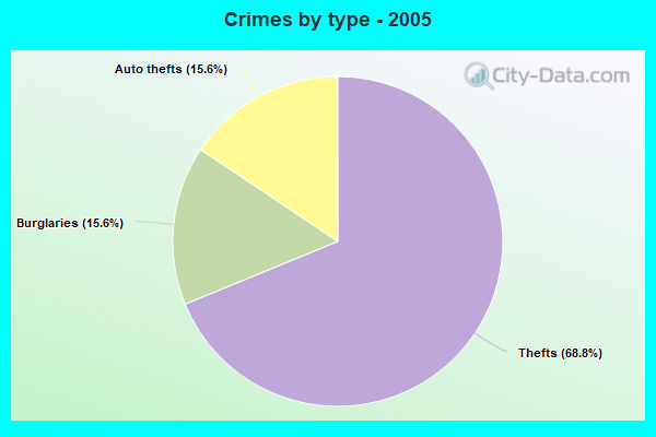 Crimes by type - 2005