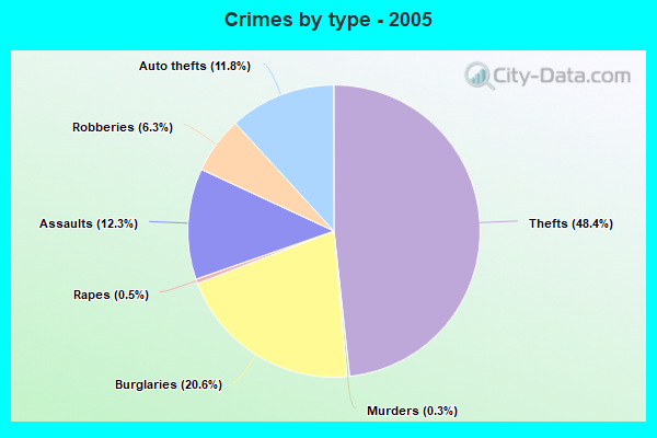 Crimes by type - 2005