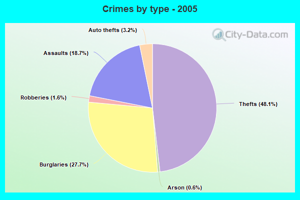 Crimes by type - 2005