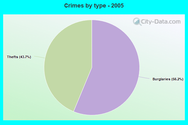 Crimes by type - 2005