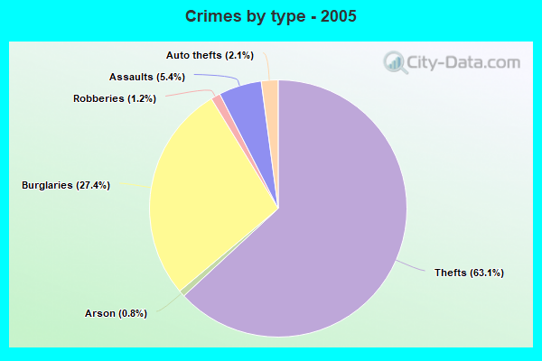 Crimes by type - 2005